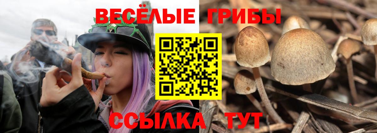 Псилоцибиновые грибы MAGIC MUSHROOMS  Вход с VPN  Галлюциногенные грибы Psilocybe  Дербент 